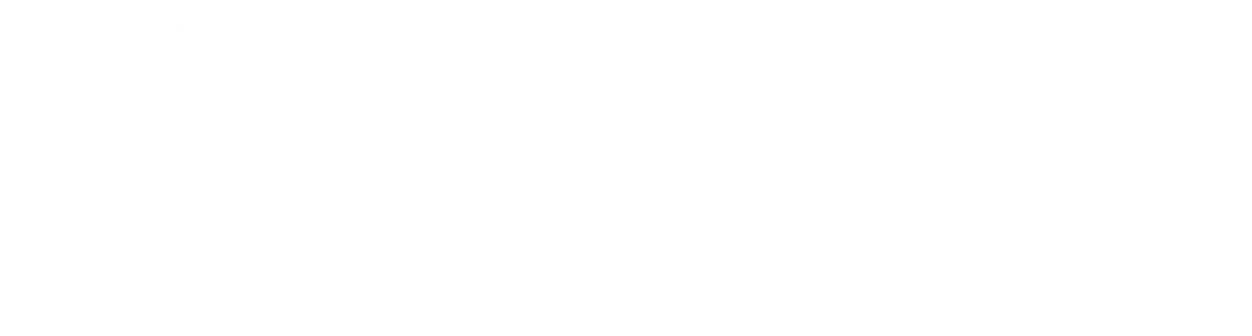 Fort Comfort Windows